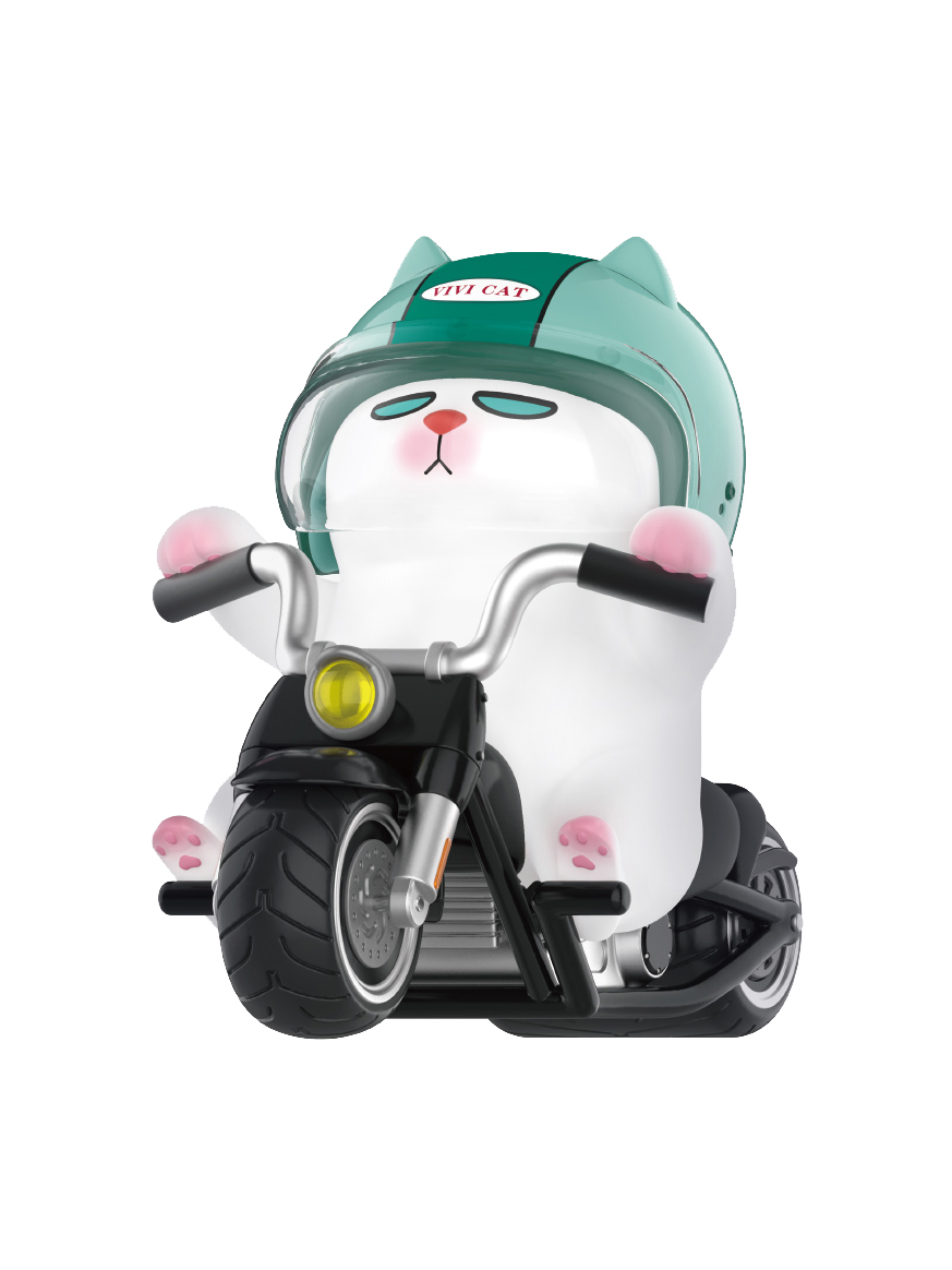 Motorcycle Helmet