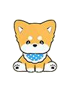 Shiba Inu Doudou